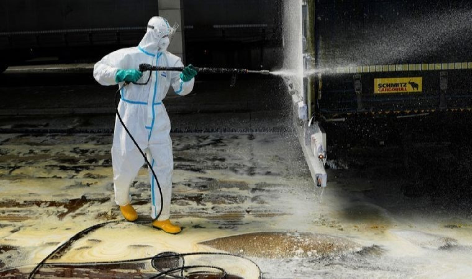 Macaristan: Şap salgınının arkasında biyolojik saldırı olabilir