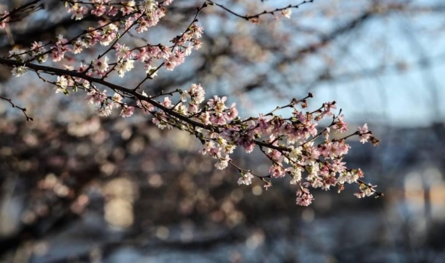 Meteoroloji açıkladı: 13 Nisan 2025 hava durumu raporu… Bugün ve yarın hava nasıl olacak?