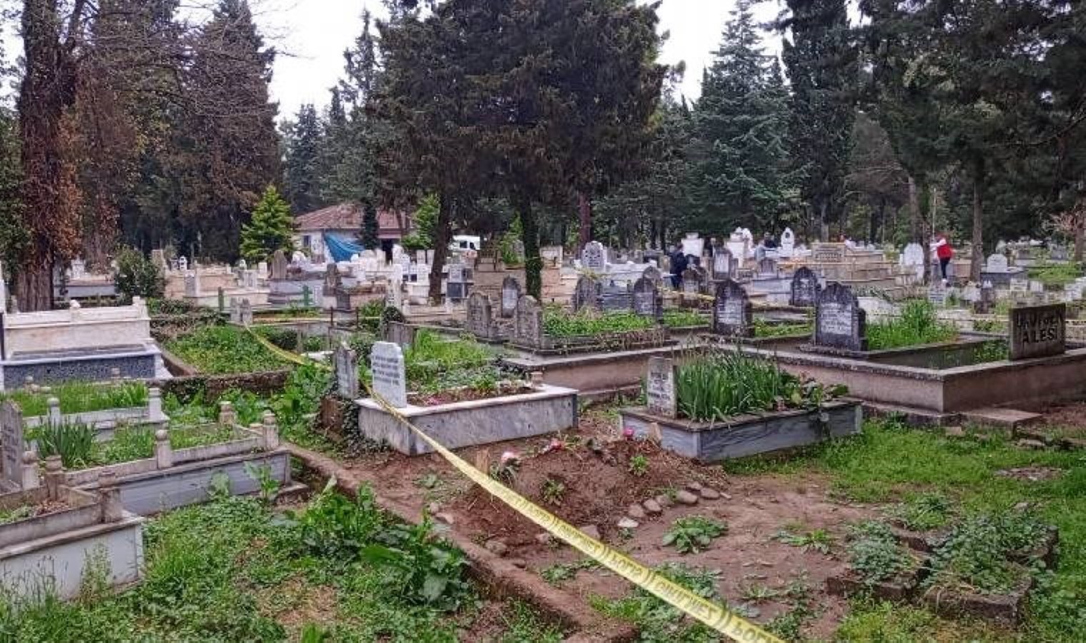 Mezarlık ziyaretinde kan aktı… Yaralılar var!