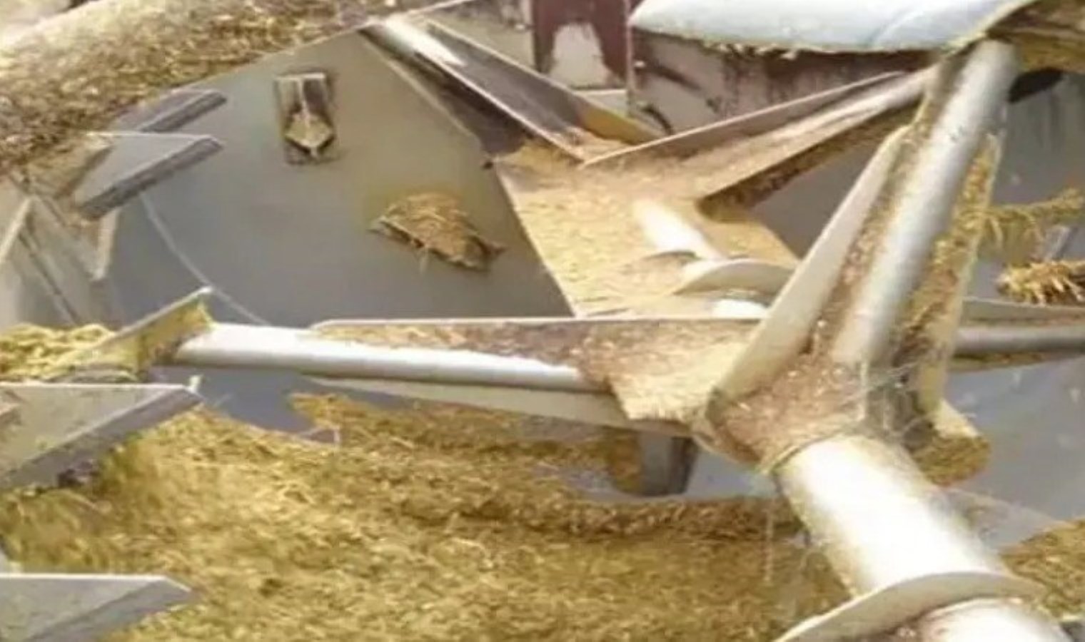 Muğla’da yem kırma makinesine düşen çiftçi öldü