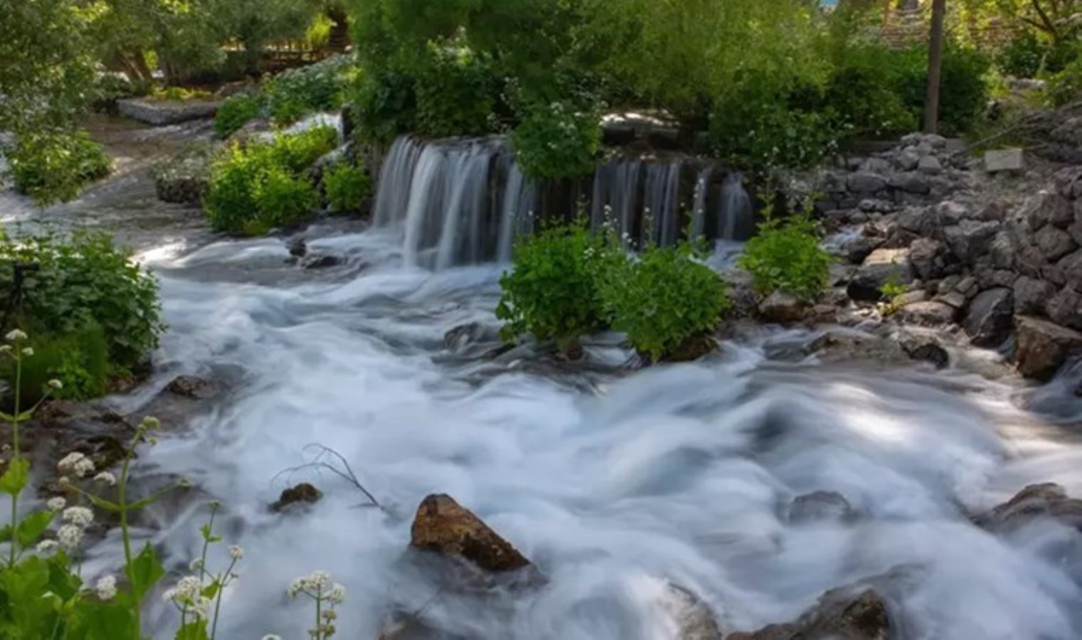 Munzur Gözeleri’nde piknik, yüzme ve kamp yasağı