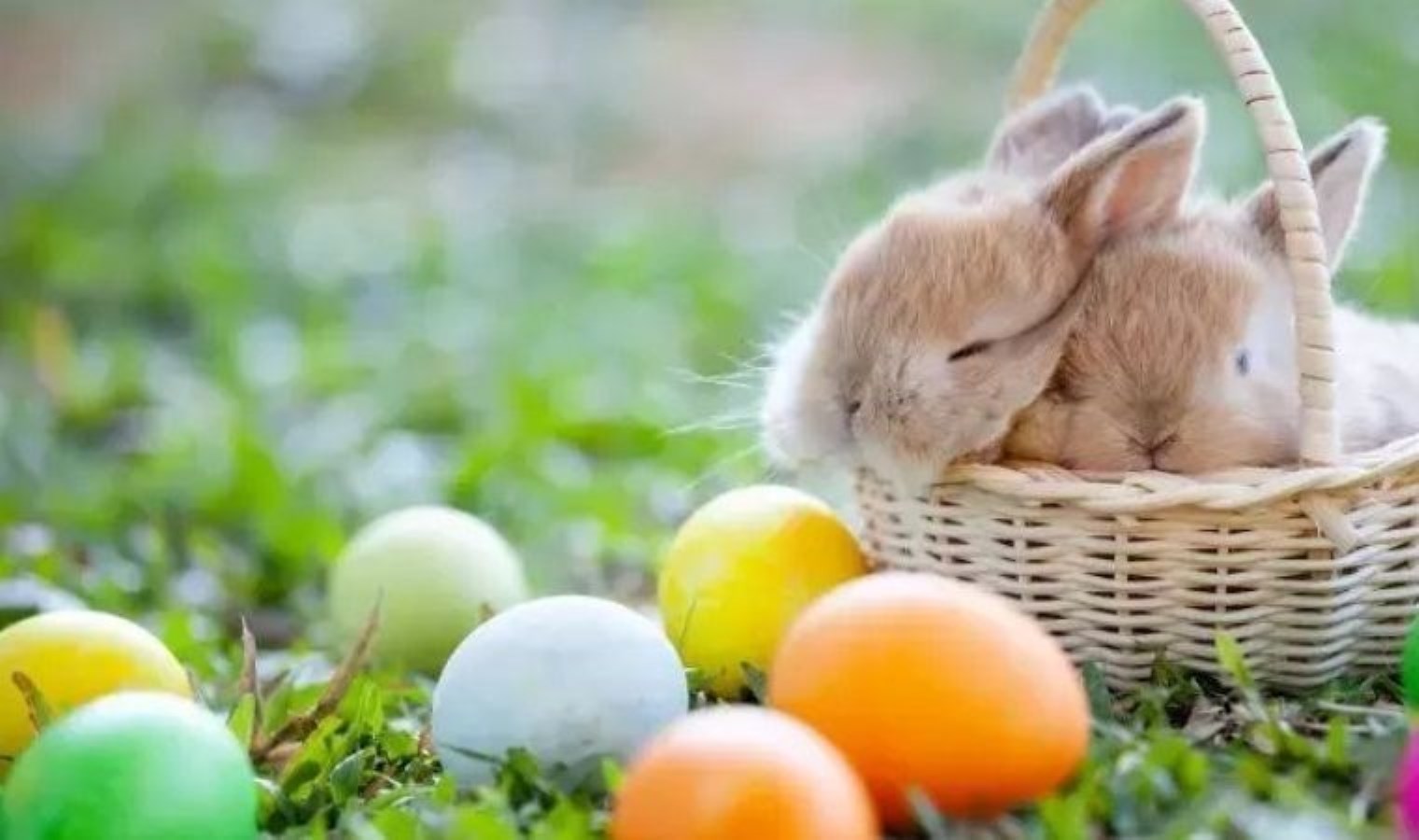 Paskalya ne zaman? Paskalya Bayramı neden kutlanır? Paskalya’da neden yumurta boyanır?