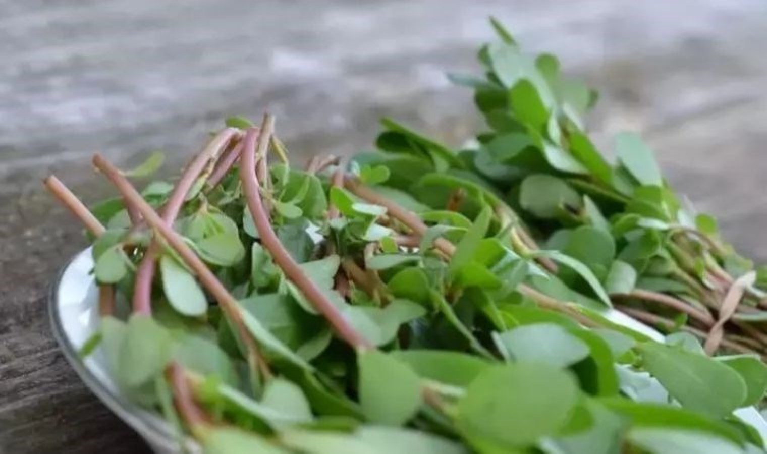 Profesörler ısrarla öneriyor: Prostat ve bağırsak kanserine doğal kalkan