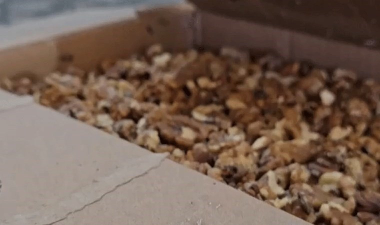 Şanlıurfa’da skandal: Baklava imalathanesinde tonlarca küflenmiş ceviz ele geçirildi!