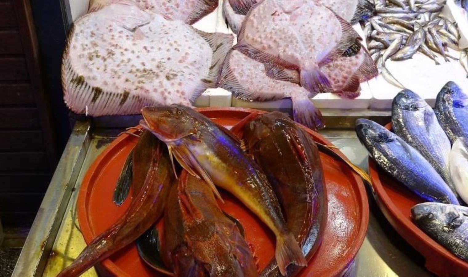 Tezgahların şampiyonu belli oldu: Kilosu 1500 TL’den 600 liraya düştü!