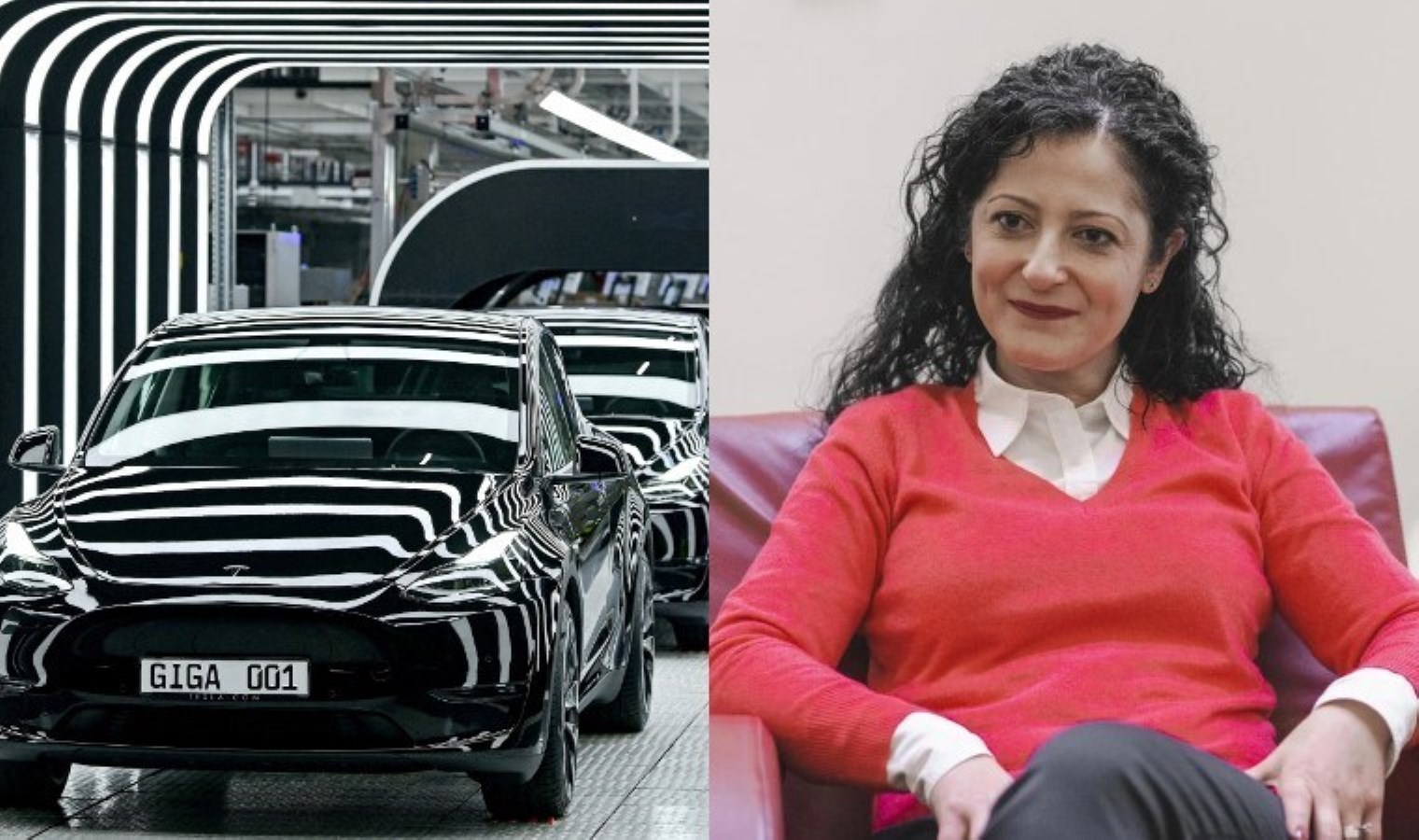 Türk asıllı Alman siyasetçi, Tesla’yı “Nazi arabası” olarak niteledi