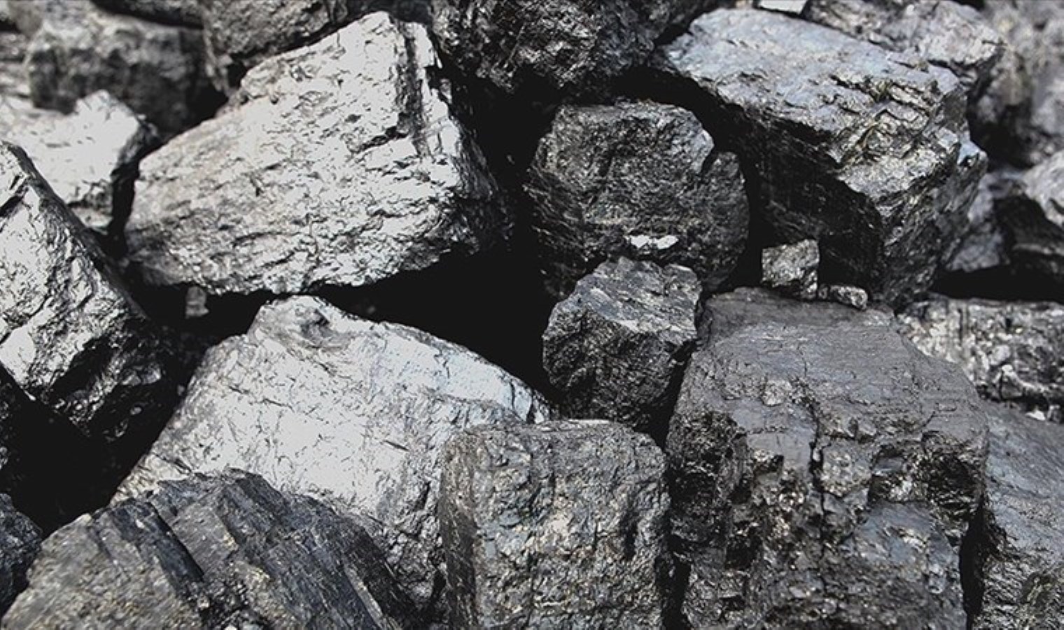 Türk mangal kömürü dünyaya açılıyor: 35 yıllık emek global pazarda!