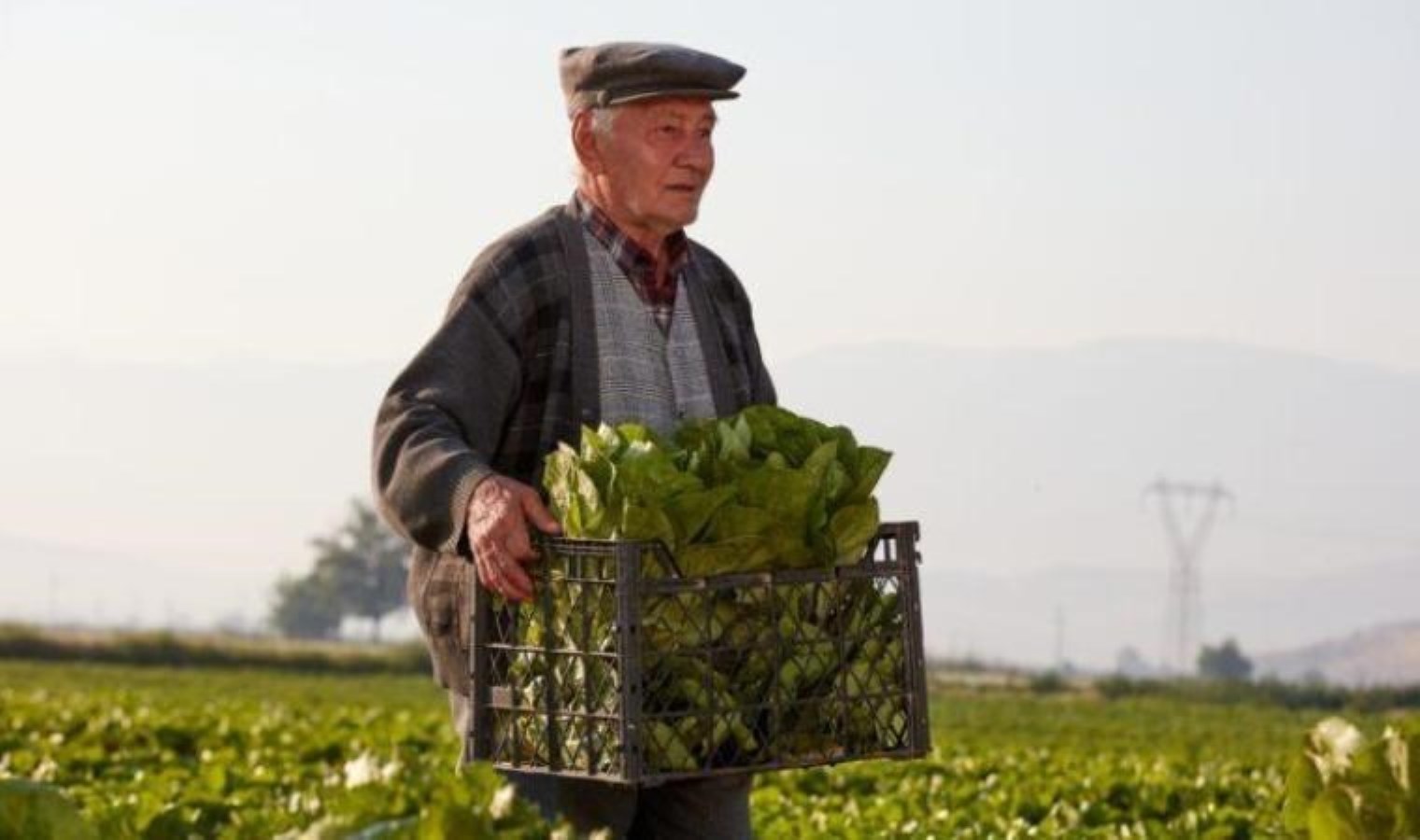 TZOB Başkanı Bayraktar: “2024 yılı itibarıyla çiftçilerimizin yaş ortalaması 59’a yükseldi”