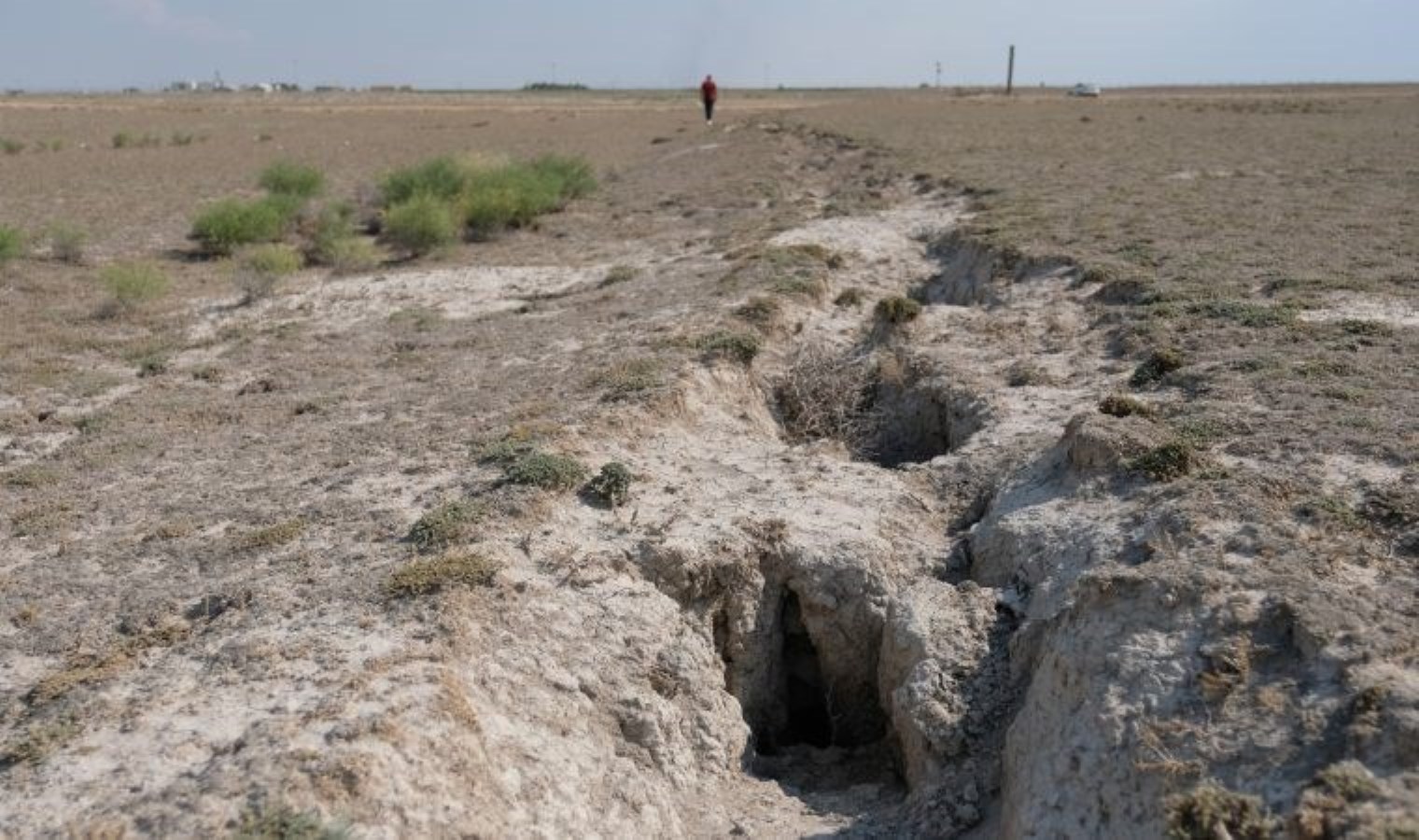 Uzmanlardan kritik uyarı: En sıcak ikinci kış, kuraklık endişesi doğuruyor