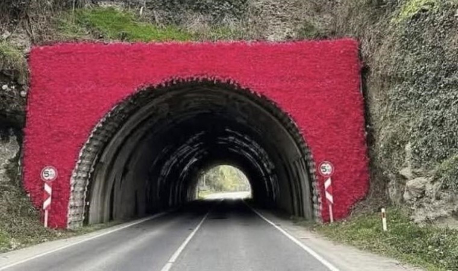 Yapay çiçekli tünele tepki