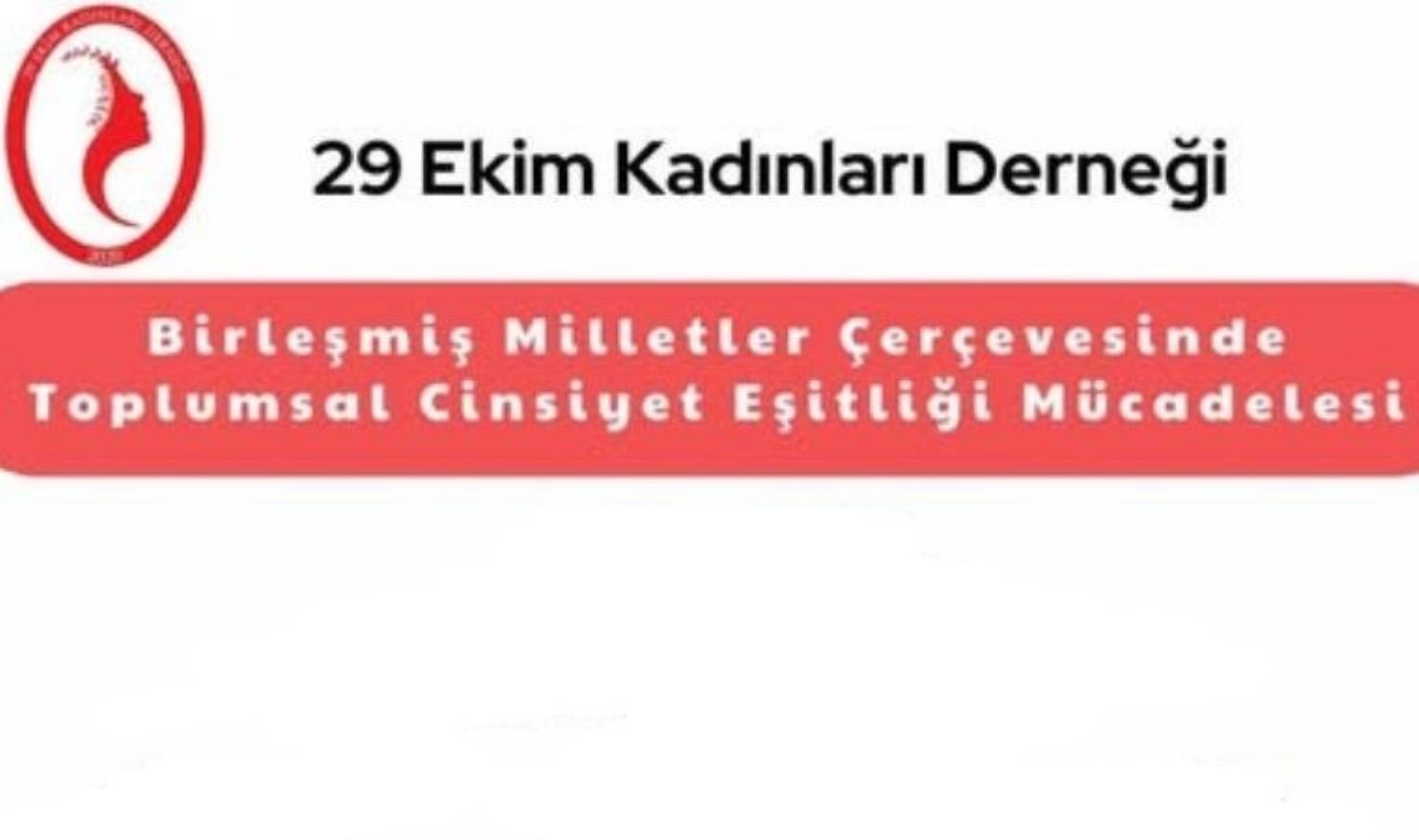 29 Ekim Kadınları Derneği’nden ‘Toplumsal Cinsiyet Eşitliği’ paneli