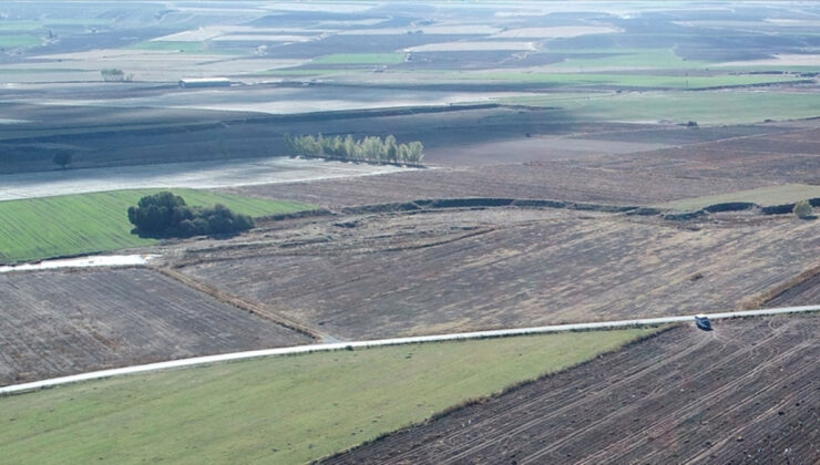 6 soruda 2B arazilerinde mülkiyet hakları ve tapu süreci