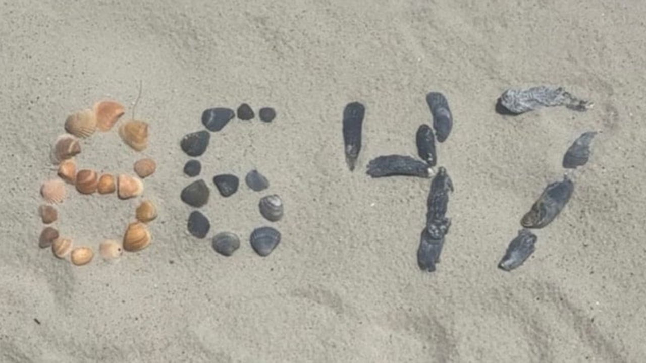 ‘8647’ kodunun anlamı çözüldü: İstihbarat harekete geçti