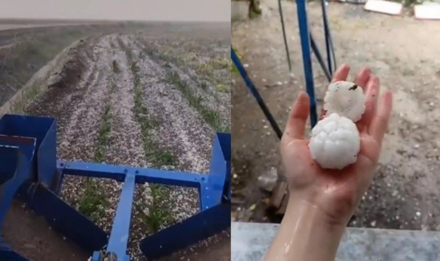 Adana’yı mayısta ‘dolu’ vurdu: Tarım arazileri zarar gördü
