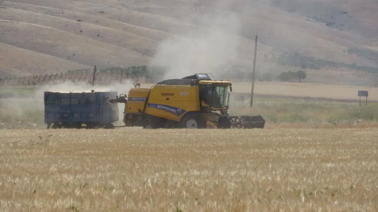 Adıyaman’da hububat hasadı başladı: Kuraklık ve don rekolteyi düşürdü