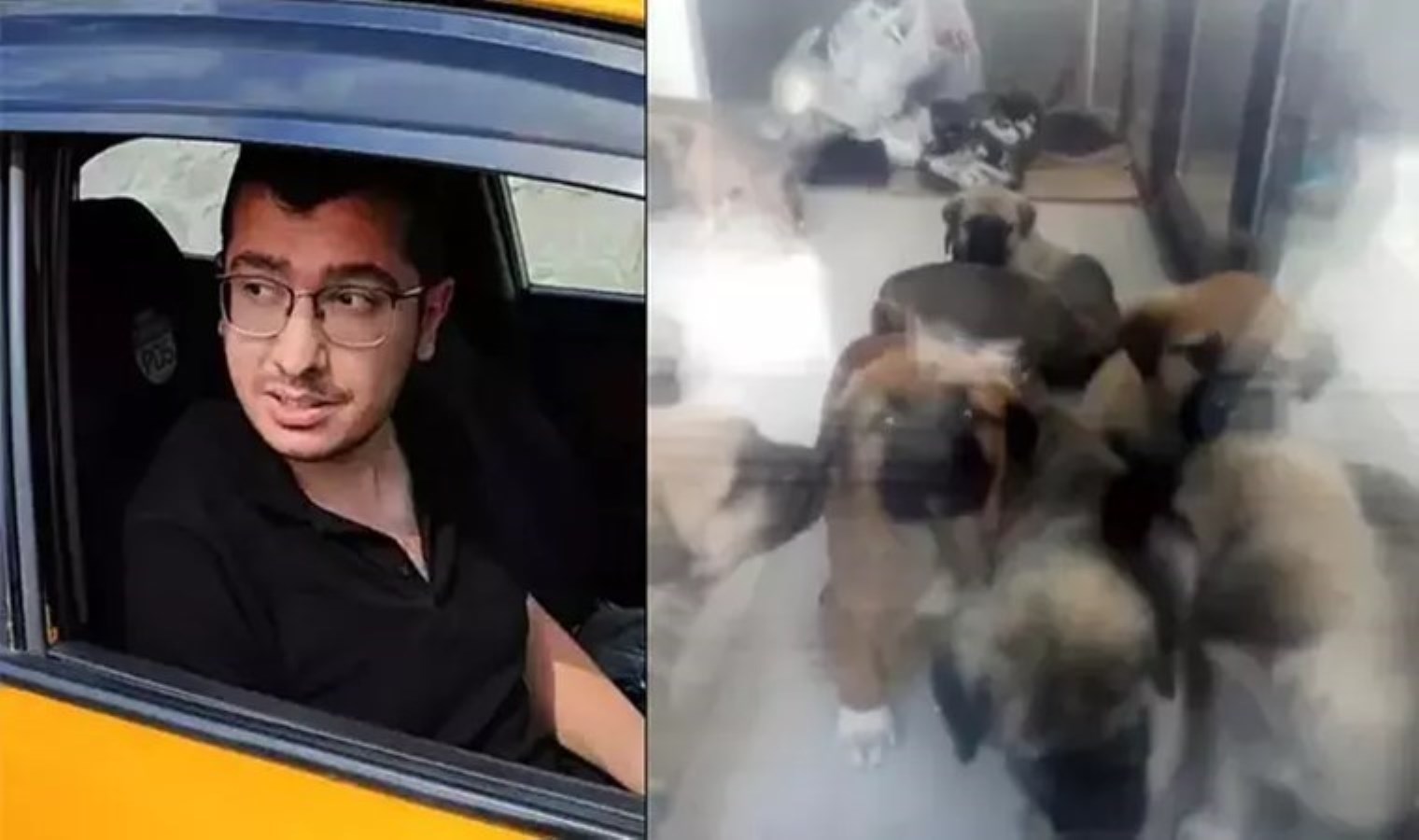 Ankara’daki vahşetin boyutları büyüyor: Doktorun sahiplenip öldürdüğü iddia edilen köpek sayısı 26’ya ulaştı!