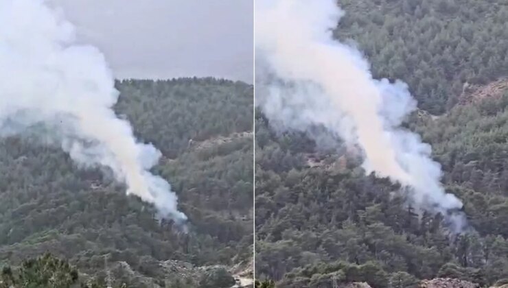 Antalya’da orman yangını!