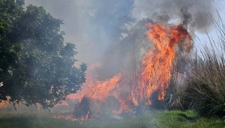 Antalya’da yangın paniği: Evler tahliye edildi!