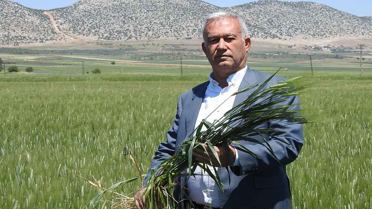 Araban Ovası’nda çiftçinin yüzü gülüyor:  150 bin dönüm tarladan 100 bin ton rekolte bekleniyor!