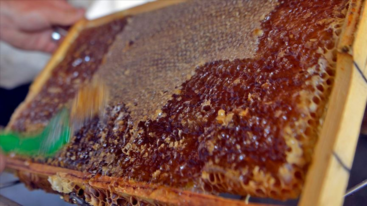 Ardahan Çiçek Balı’nın AB coğrafi işaret başvurusu için protokol imzalandı