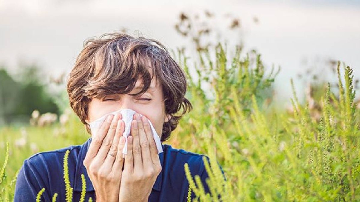 Bahar alerjisine iyi gelen bitkiler! İlaçları rafa kaldırıyor…