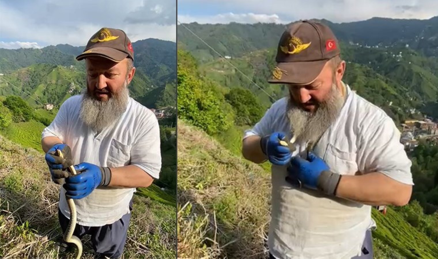Bahçede yakaladığı yılanı boynuna doladı