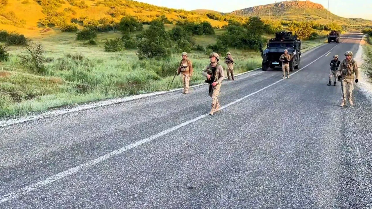 Bakan Yerlikaya duyurdu: Diyarbakır’da 7 milyon 543 bin kök kenevir ve skunk ele geçirildi: Gözaltılar var…