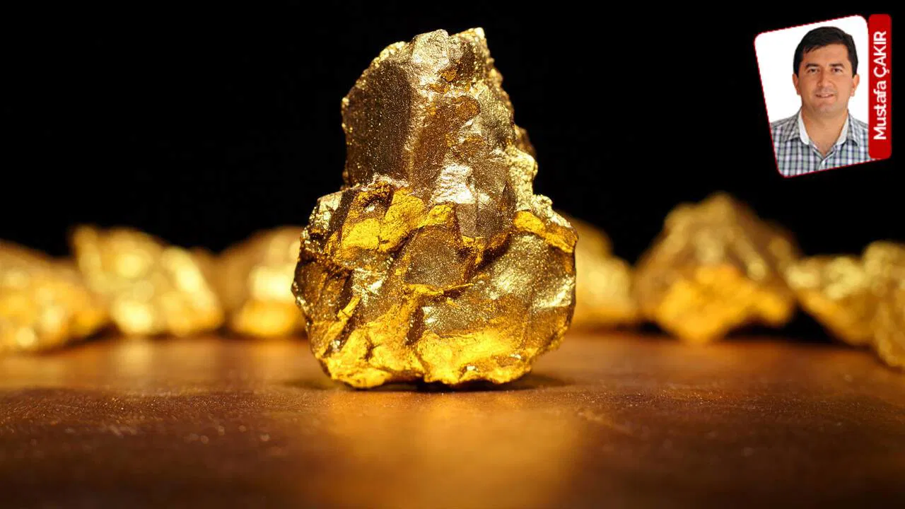 Balıkesir’in iki ilçesindeki ormanlık alanlarda altın madeni işletilecek: Facialardan ders alınmıyor