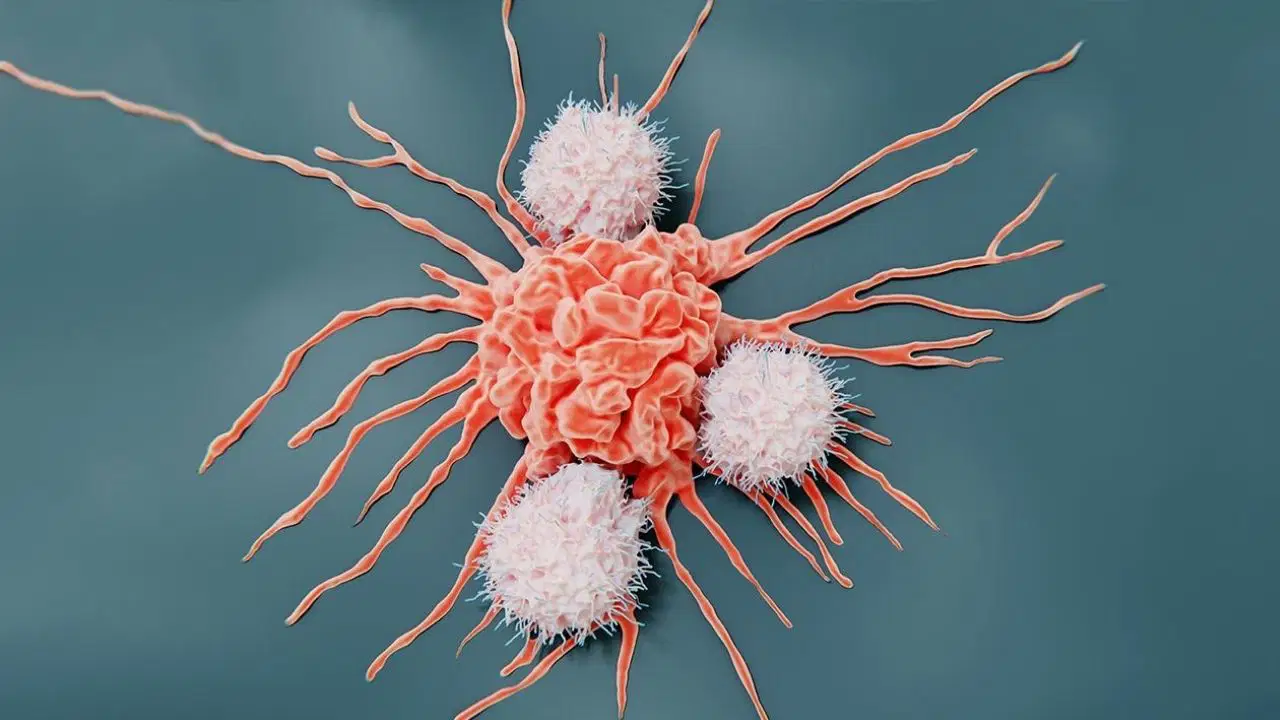 Bu iki belirtili tuvalette belli oluyor: Sessiz ilerleyen kanserin habercisi olabilir