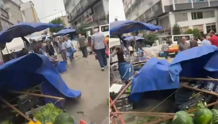 Bursa’da lodos yaşamı olumsuz etkiledi!