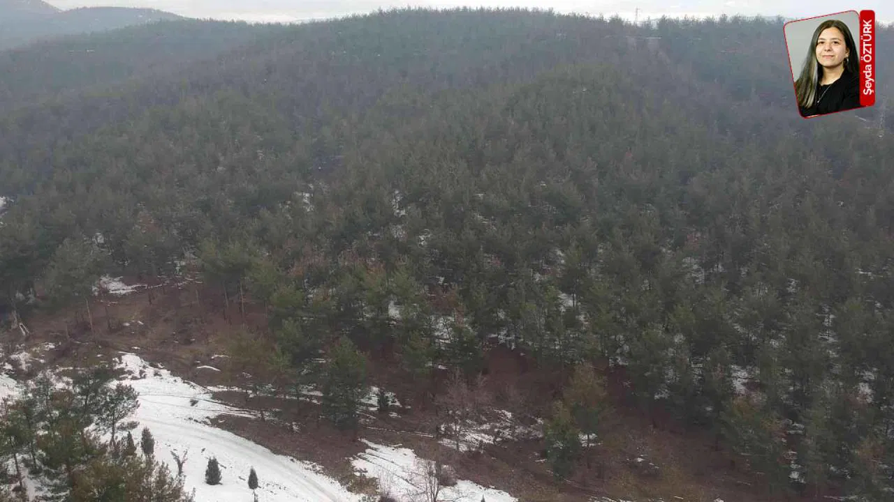 Cengiz’in 897 hektarlık ormanlık alana kuracağı maden için aynı gün tarih verildi: Süreç yandaşa hızlı!