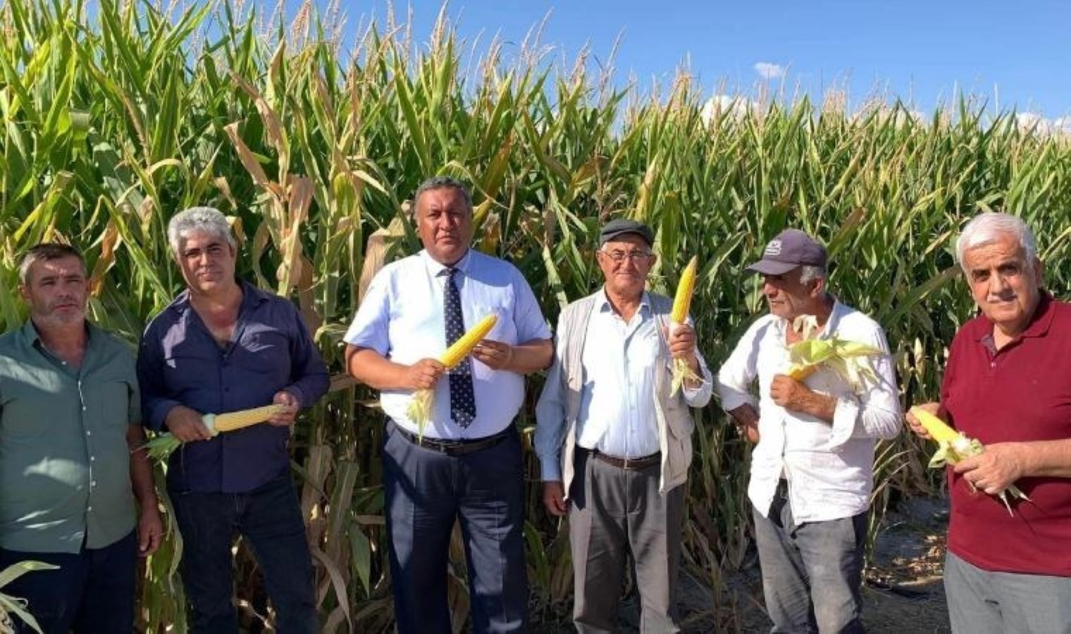 CHP’li Gürer’den ‘mısır’ tepkisi: ‘Üretimi bitirilmek mi isteniyor?’