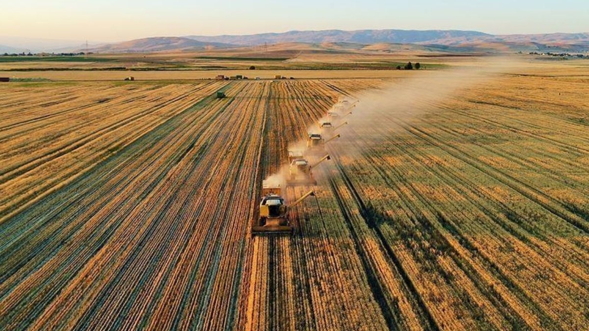 Çiftçilere 6,7 milyar lira destek ödemesi yapılıyor