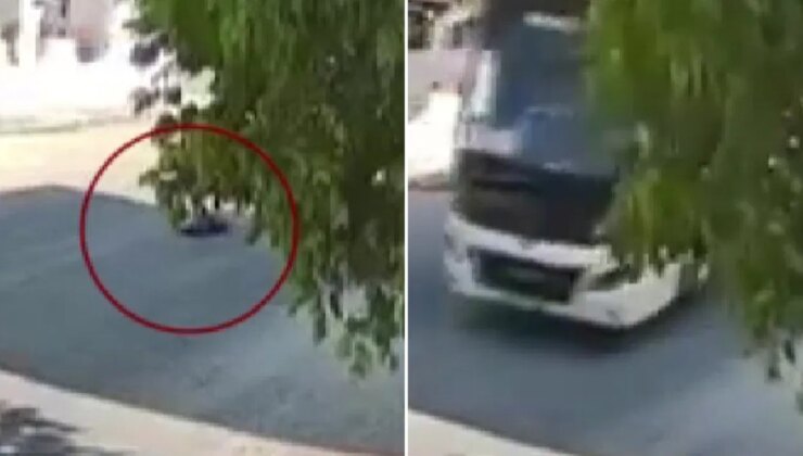 Dehşet anları kamerada: Yolda yatan köpeği göz göre ezdi