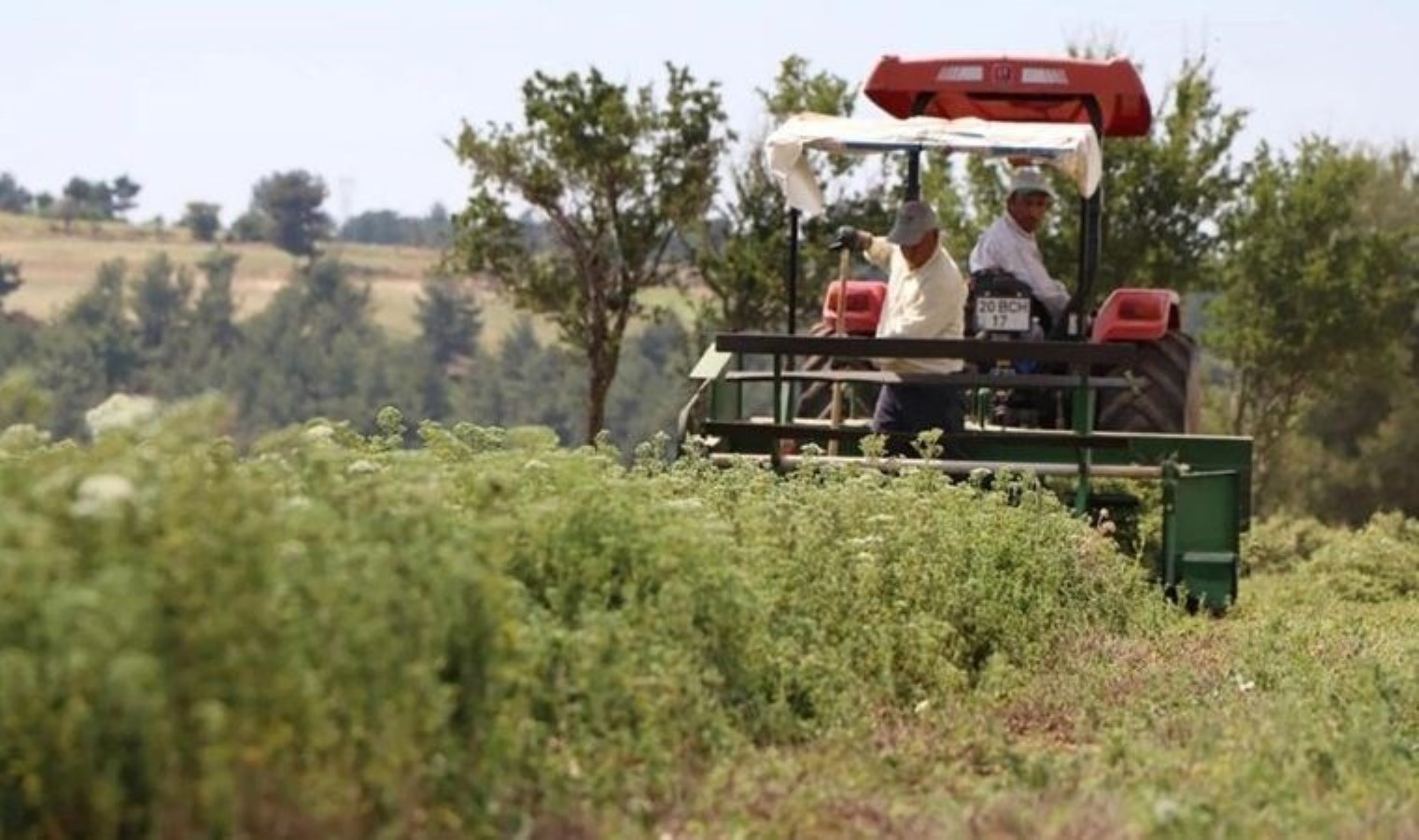 Denizli’de iş cinayeti: Çiftçi yem karma makinesinde yaşamını yitirdi