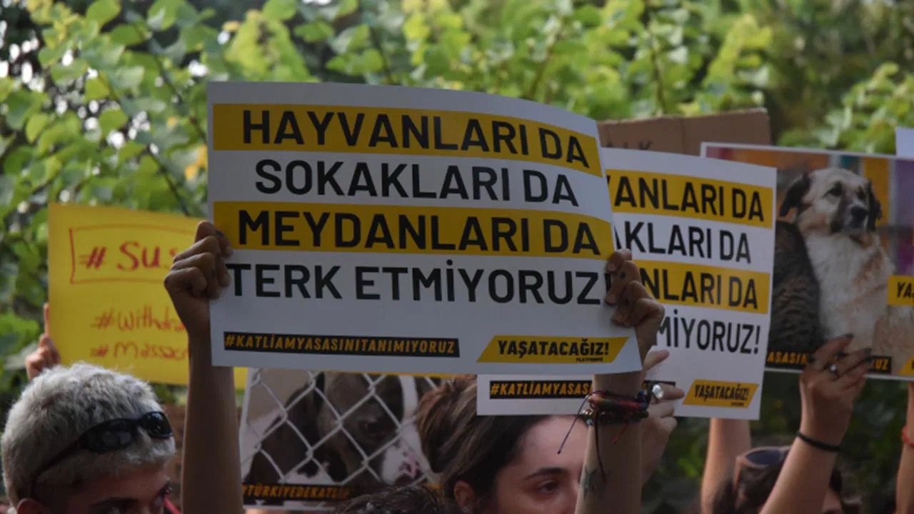 ‘Direne direne yaşatacağız’