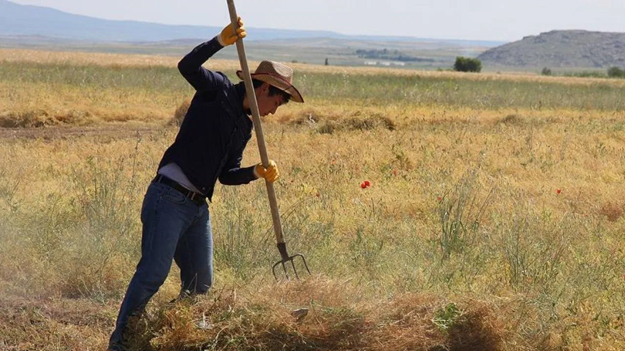 Dünya Çiftçiler Günü nedir? Dünya Çiftçiler Günü ne zaman ortaya çıktı? Dünya Çiftçiler Günü’ne özel mesajlar