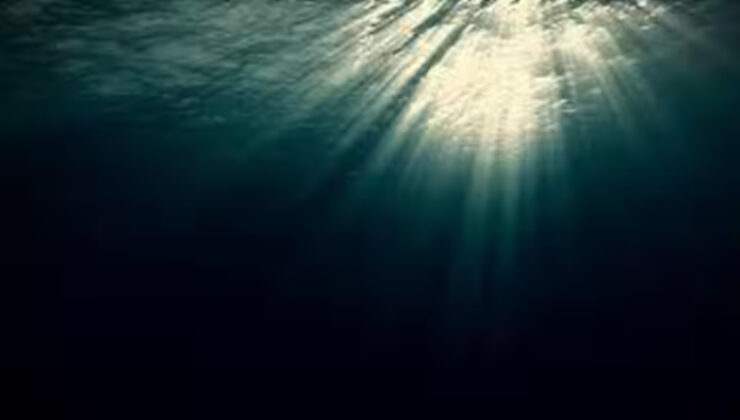 Dünya okyanuslarının yüzde 21’i gizemli bir şekilde koyulaşıyor: İşte nedeni