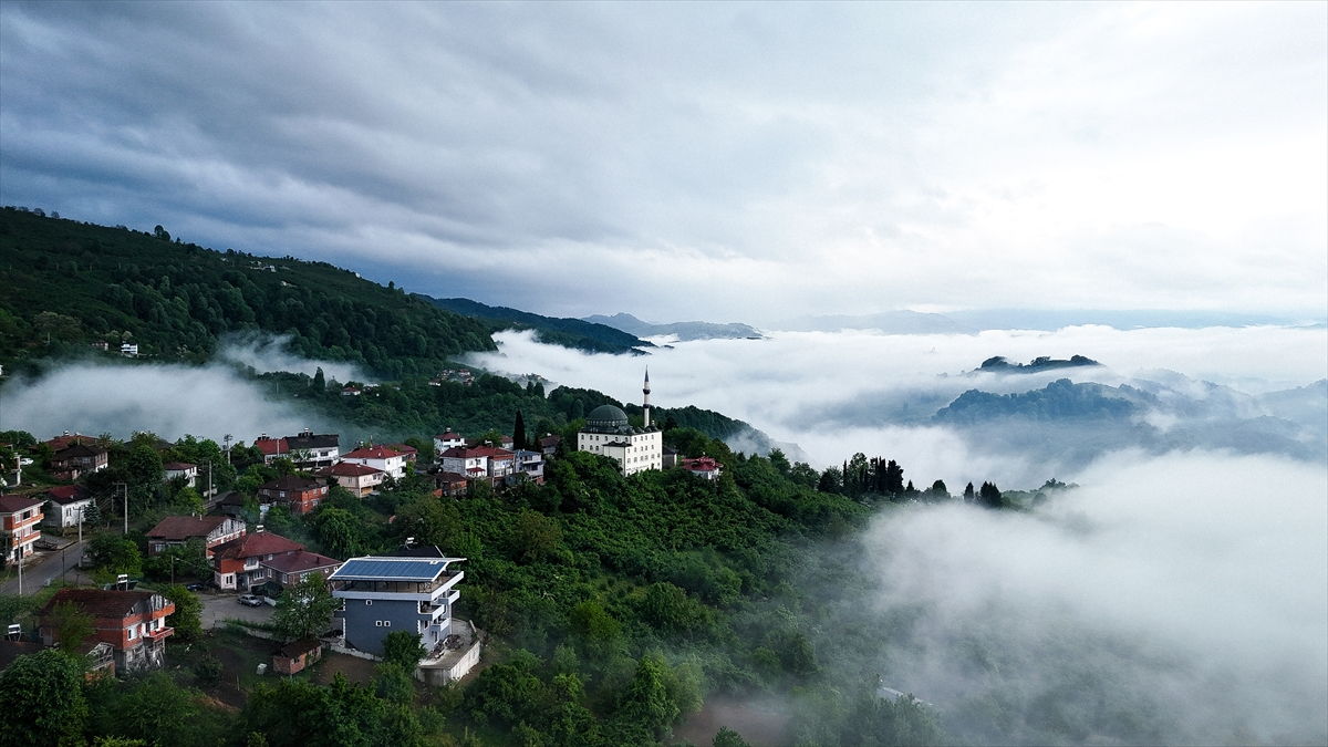 Düzce’de sis denizi