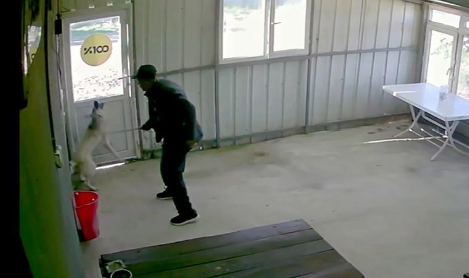 Edirne’de vahşet! Köy kahvesinde bakılan köpeği bastonuyla darbetti