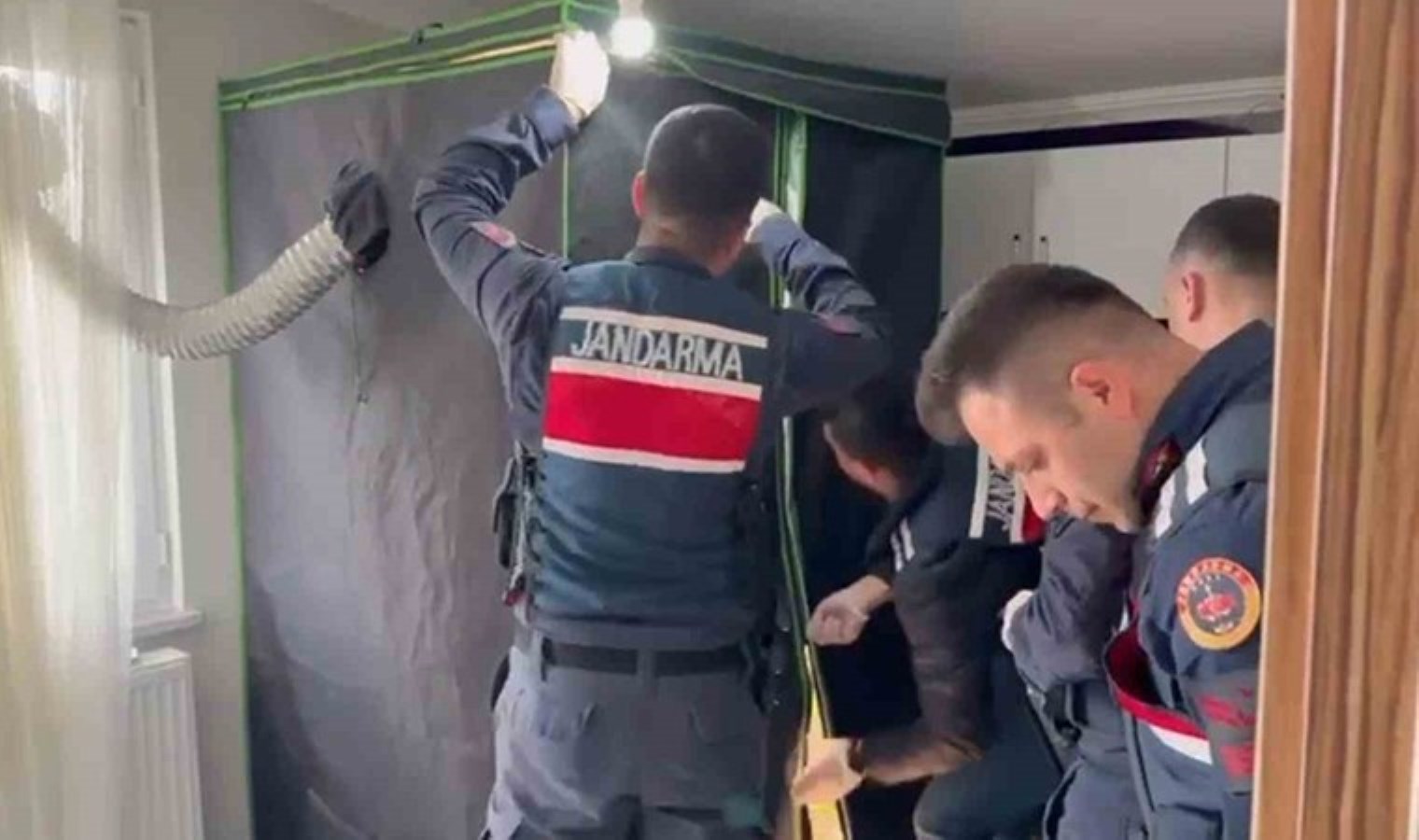 Ekipleri bile şaşırtan operasyon! Elbise dolabından ‘uyuşturucu serası’ çıktı: 4 tutuklama