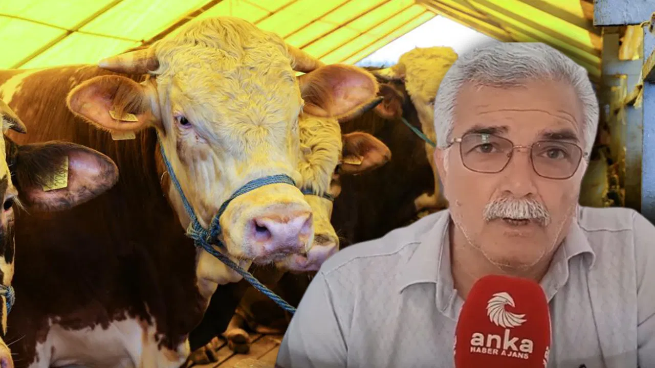 Emekli Diyanet’e isyan etti: ‘Diyanet İşleri emekliye kurban düşmez desin’