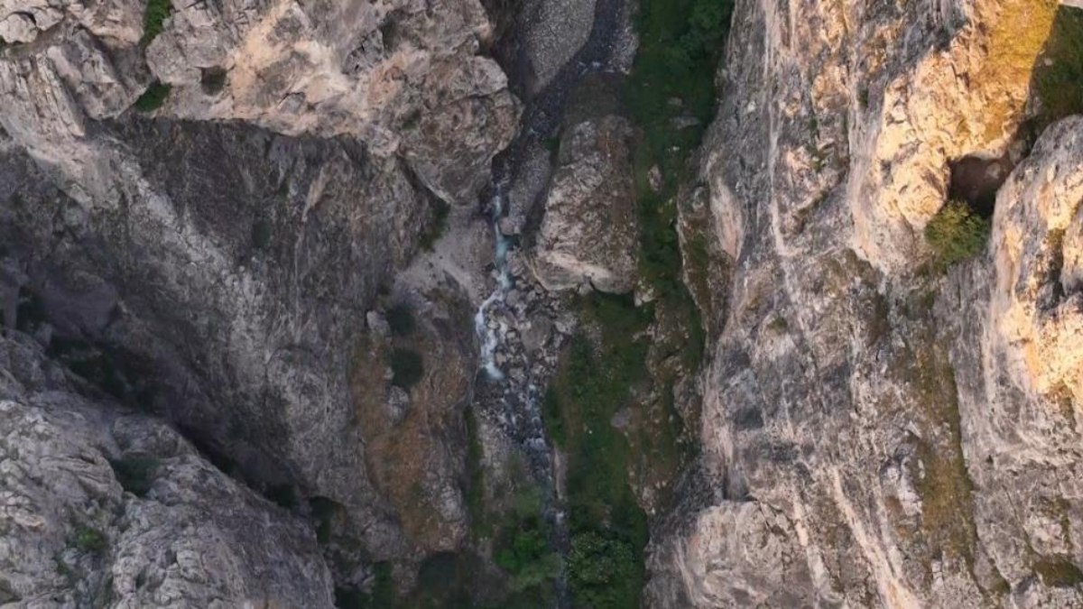 Erzincan’ın kanyonları, yaban keçileriyle canlanıyor