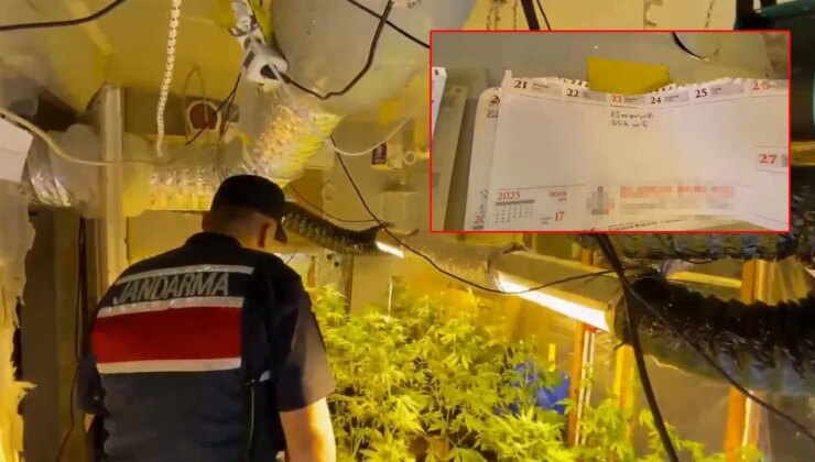 Evde yetiştirdiği kenevirle ilgili notları duvara asmış