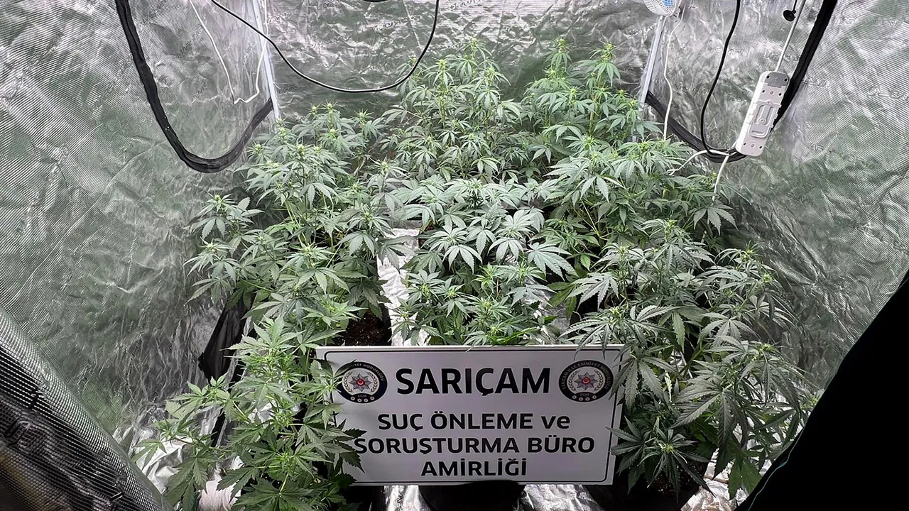 Geçen hafta cezaevine girmişti: Evinden kenevir serası çıktı