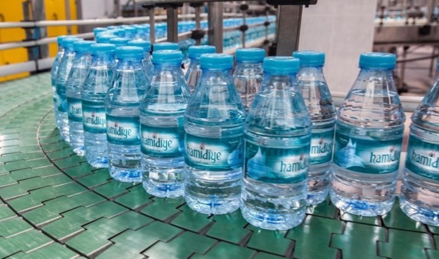 Hamidiye Su ürünlerine zam geldi: İşte yeni fiyatlar…