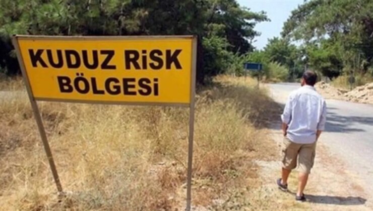 Hatay’ın 4 mahallesinde ‘kuduz’ karantinası!