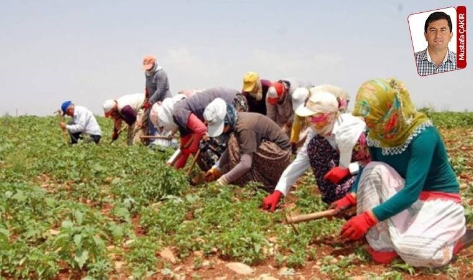Her 10 yılda bir yapılması gerekiyordu en son 2001’de yapıldı: 24 yıl sonra sayım!