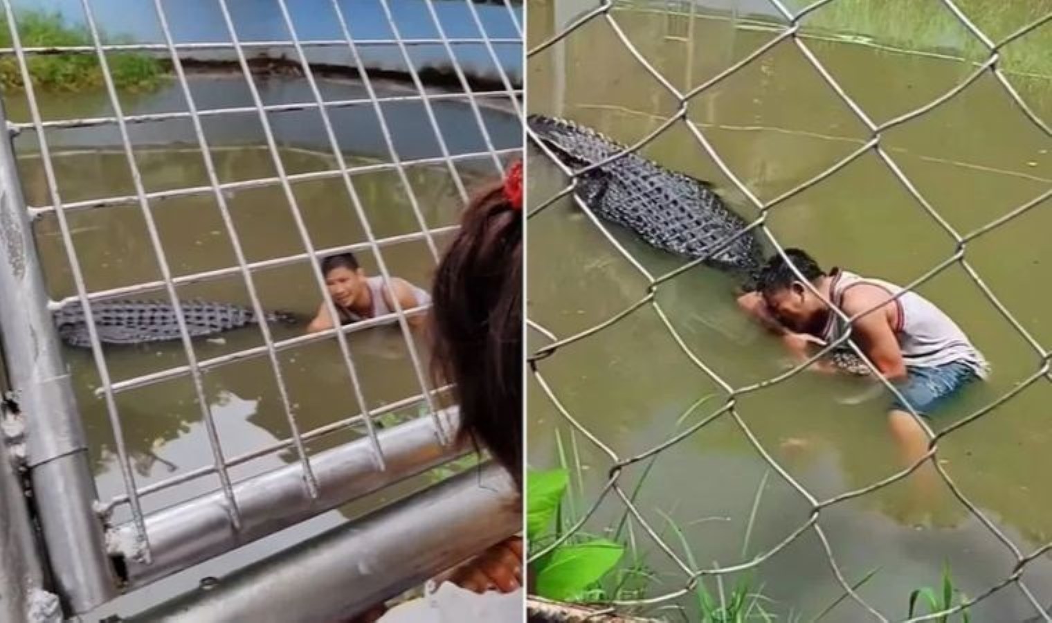 Heykel sandı, gerçek çıktı: 50 dikişle hayatta kaldı