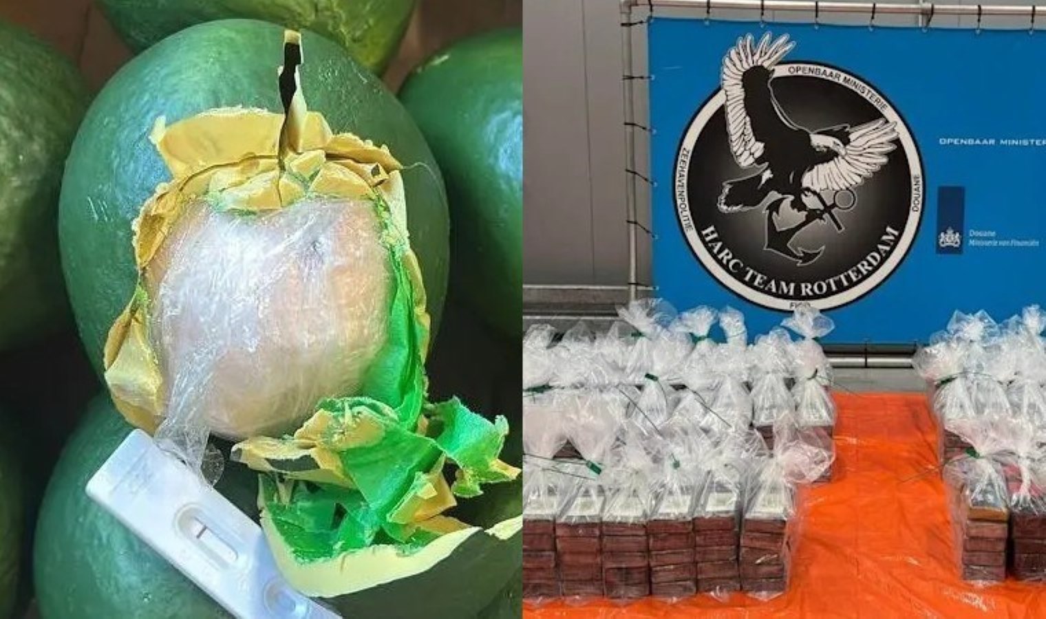 Hollanda’da dev uyuşturucu operasyonu: Avokado sandılar, kokain çıktı